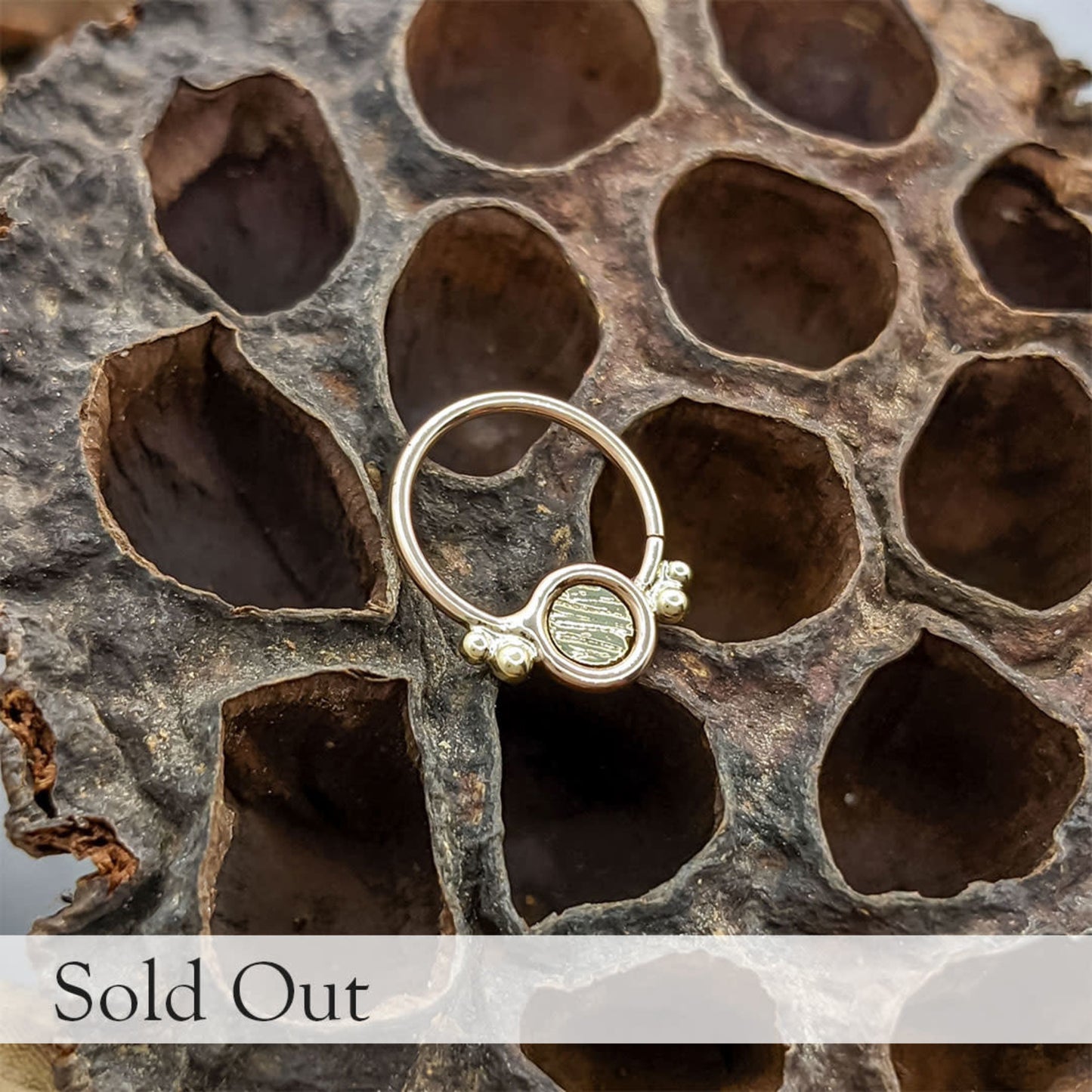 Ringed Disk with Beads