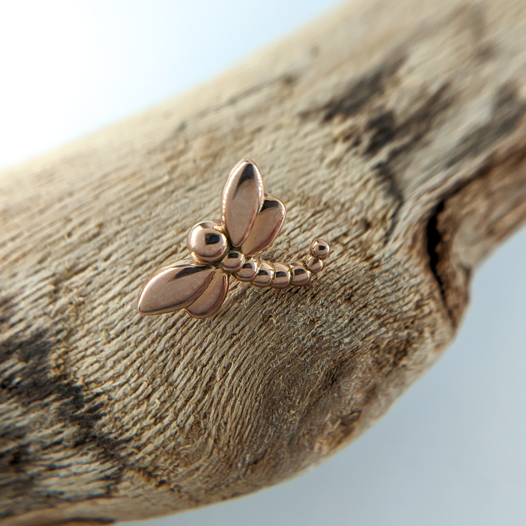 Dragonfly