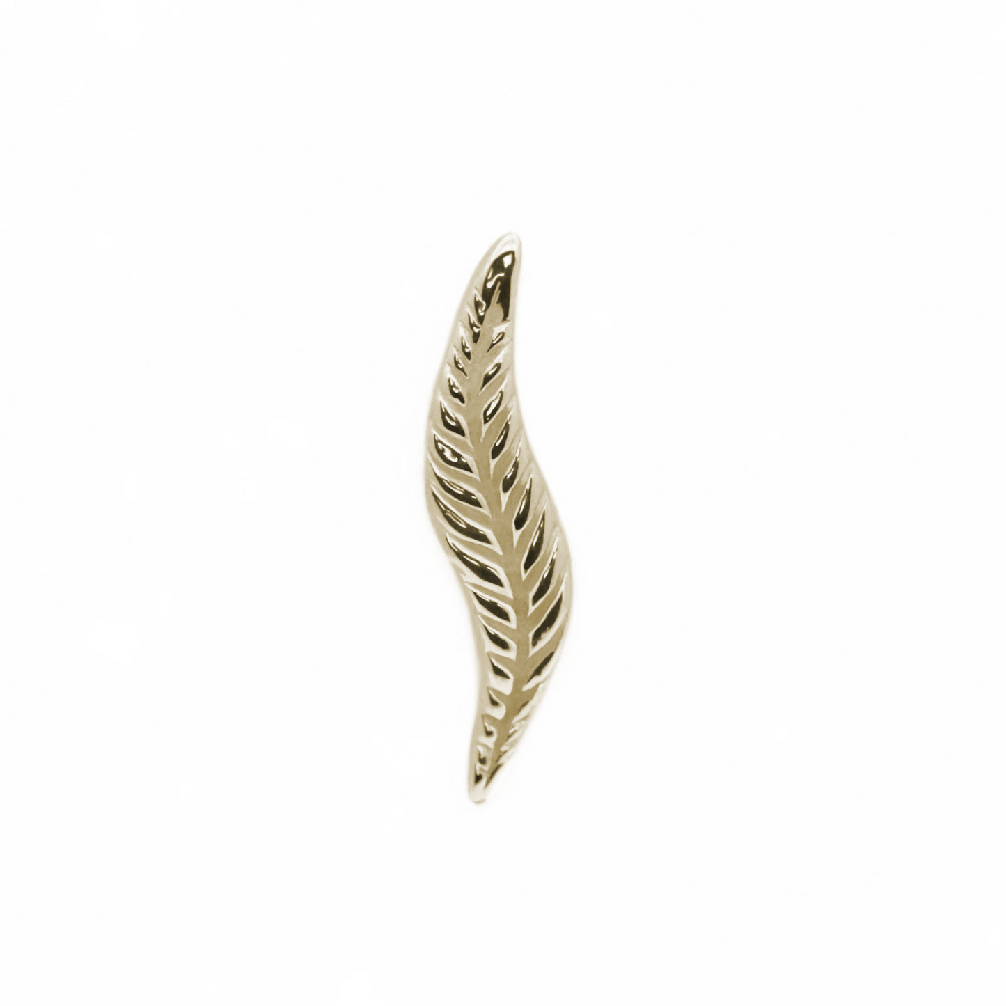 Leaf