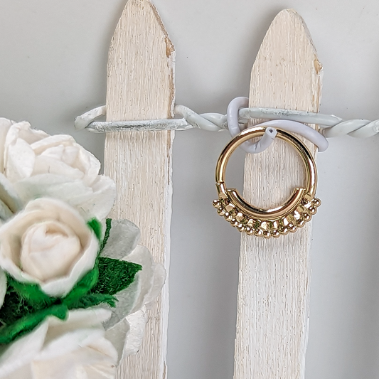 Inner Orb Ring 18g